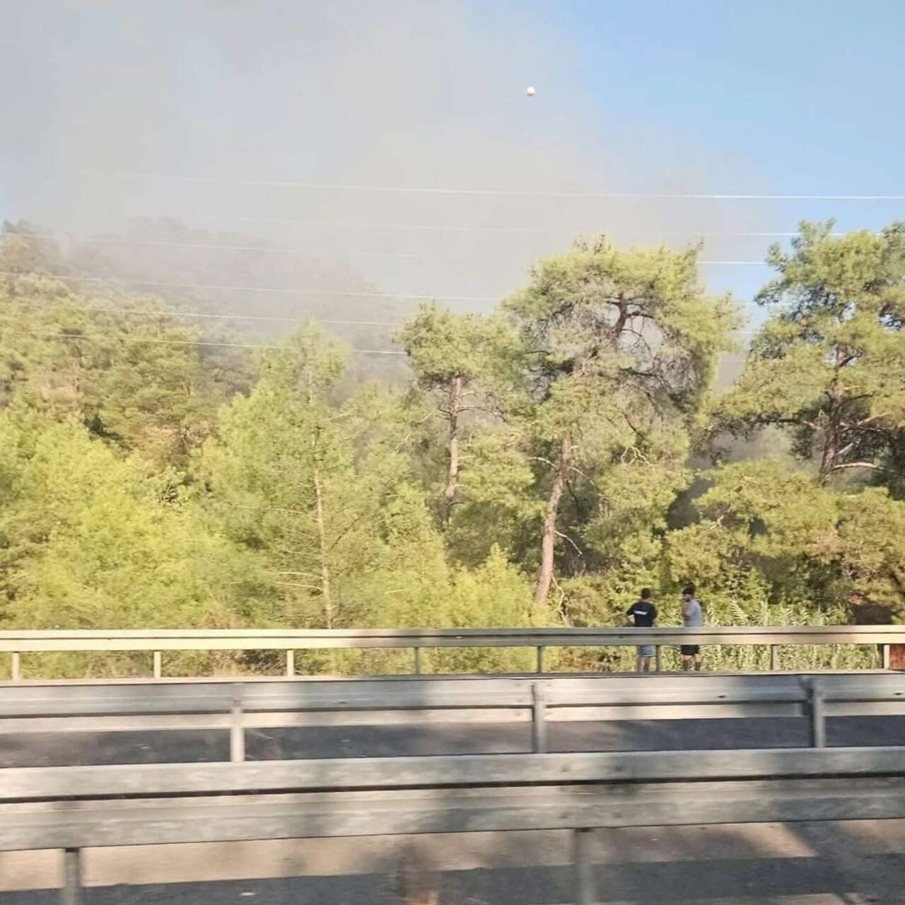Köyceğiz’de Alevler Ormana Sıçradı: Kontrol Altına Alındı 1